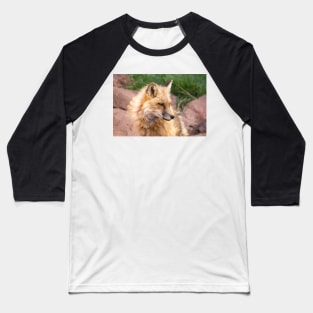 Young fox. Baseball T-Shirt